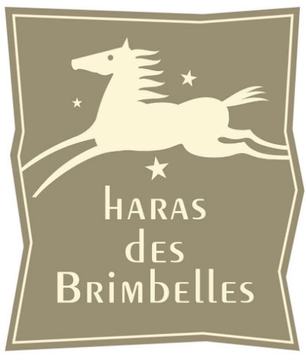 Titouan Schumacher  - Haras des Brimbelles